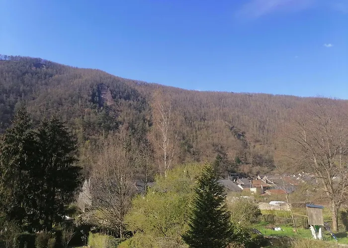 Chez Many, Par Fred Et Henri * Montherme